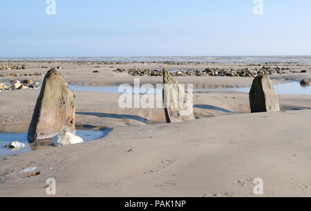 Resti di vecchi difese di mare o pennelli lungo la spiaggia con la bassa marea a East Preston, West Sussex. La gente del posto accostarle squali' alette Foto Stock