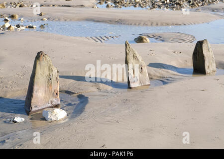 Resti di vecchi difese di mare o pennelli lungo la spiaggia con la bassa marea a East Preston, West Sussex. La gente del posto accostarle squali' alette Foto Stock