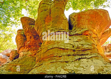 Formazioni di arenaria nel Giardino degli Dei in Shawnee National Forest Foto Stock