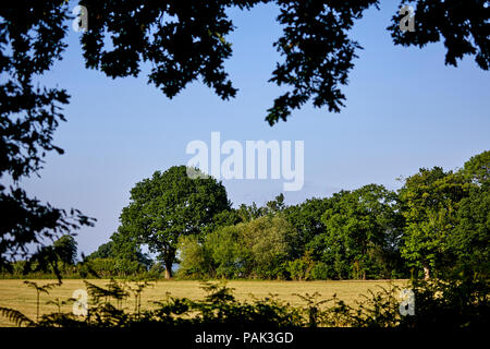 Chelford villaggio e parrocchia civile nel Cheshire, campi nel villaggio rurale Foto Stock