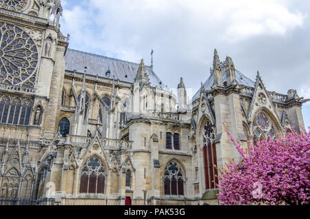 Notre Dame de Paris facciata meridionale dettaglio con gli archi rampanti e rosoni in questa bella cattedrale gotica su una soleggiata giornata di primavera a Francoforte Foto Stock