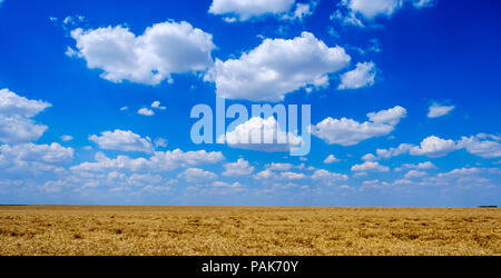 Cielo estivo nella valle della Somme, nel nord della Francia Foto Stock