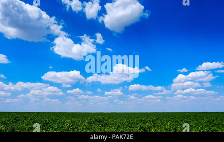 Cielo estivo nella valle della Somme, nel nord della Francia Foto Stock