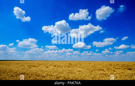 Cielo estivo nella valle della Somme, nel nord della Francia Foto Stock