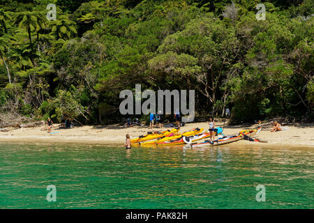 Guidato il kayak da mare tour di prendere un periodo di riposo su una spiaggia in il Parco Nazionale Abel Tasman, Nuova Zelanda Foto Stock