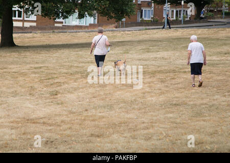 Chigwell. Londra. Regno Unito 23 Giugno 2018 - Due donne a piedi con un cane su bruciò riarsa erba in un parco in Chigwell, Londra su un molto caldi e umidi giorni nella capitale. Secondo il Met Office la temperatura a Londra e il Sud Est rischia di raggiungere i 34 gradi Celsius nei prossimi giorni di luglio il mese più caldo poiché i record ha iniziato a. Credito: Dinendra Haria/Alamy Live News Foto Stock