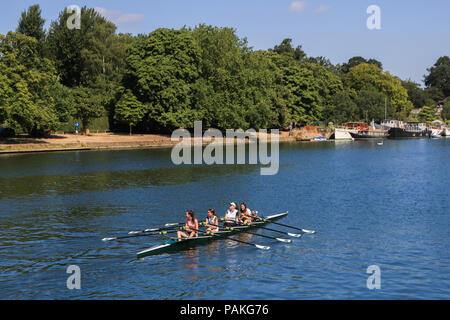 Londra. Regno Unito. Il 24 luglio 2018. I canottieri lungo il fiume Tamigi in Kingston su un altro giorno caldo in prospettiva con alte temperature impostato per rimanere Credito: amer ghazzal/Alamy Live News Foto Stock