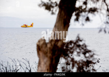 Mati, Grecia. Il 24 luglio, 2018. Un velivoli antincendio mosche intorno alla costa poco prima di eseguire il rifornimento. In base a nuove informazioni, gli incendi forestali nei pressi di Atene ha ucciso diverse persone il 24 luglio 2018. Credito: Christoph Soeder/dpa/Alamy Live News Foto Stock