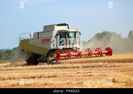 Chessington Surrey England Regno Unito. Il 24 luglio 2018. Regno Unito: Meteo portando la raccolta su una perfetta giornata estiva. La macchina mietitrebbiatrice taglio attraverso il golden grano sotto cieli blu a Chessington nel Surrey. Credito: Julia Gavin/Alamy Live News Foto Stock
