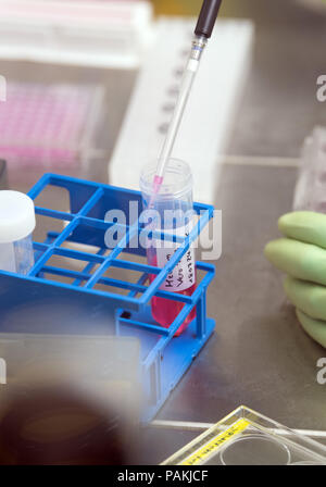 Germania Berlino. Il 24 luglio, 2018. Un medico-assistente tecnico (MTA) pipette durante un appuntamento Premere nella S4 laboratorio dell'Istituto Robert Koch (RKI). In laboratorio con il più alto livello di protezione che è quattro, altamente infettivo e in pericolo di vita patogeni come il virus Ebola, o Lassa virus Nipah possono essere esaminati in modo sicuro. Alta protezione laboratorio è programmato per iniziare a lavorare sulla luglio 31, 2018. Credito: Soeren Stache/dpa/Alamy Live News Foto Stock