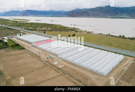 Shannan. 23 Luglio, 2018. Foto aeree prese sulla luglio 23, 2018 mostra un agricolo e di allevamento di dimostrazione in base Zhanang contea di Shannan City, a sud-ovest della Cina di regione autonoma del Tibet. Il governo locale ha compiuto un grande sforzo per presentare offerte per gli investimenti su industria verde per rilanciare l'economia locale. Alimentato da ben-imprese, circa 2.800 residenti di 720 famiglie realizzato un reddito totale la crescita di 15 milioni di yuan (circa 2,2 milioni di dollari) nel 2017. Credito: Liu Dongjun/Xinhua/Alamy Live News Foto Stock