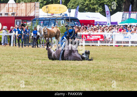 Brockenhurst, Hampshire, Regno Unito. 24 luglio 2018. La folla affluisce al primo giorno del New Forest & Hampshire County Show in una calda giornata di sole. Ben Atkinson e il team Atkinson Stunt display, apparsi in Poldark e Peaky Blinders, entusiasmano la folla con i loro trucchi e acrobazie, tra cui Roman Riding, Drags, Falls, Pick UPS, ribaltamenti, cavalli che allevano e si stendono. Crediti: Carolyn Jenkins/Alamy Live News Foto Stock
