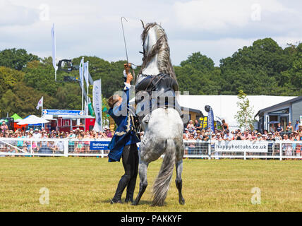 Brockenhurst, Hampshire, Regno Unito. 24 luglio 2018. La folla affluisce al primo giorno del New Forest & Hampshire County Show in una calda giornata di sole. Ben Atkinson e il team Atkinson Stunt display, apparsi in Poldark e Peaky Blinders, entusiasmano la folla con i loro trucchi e acrobazie, tra cui Roman Riding, Drags, Falls, Pick UPS, ribaltamenti, cavalli che allevano e si stendono. Crediti: Carolyn Jenkins/Alamy Live News Foto Stock