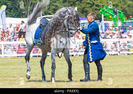 Brockenhurst, Hampshire, Regno Unito. 24 luglio 2018. La folla affluisce al primo giorno del New Forest & Hampshire County Show in una calda giornata di sole. Ben Atkinson e il team Atkinson Stunt display, apparsi in Poldark e Peaky Blinders, entusiasmano la folla con i loro trucchi e acrobazie, tra cui Roman Riding, Drags, Falls, Pick UPS, ribaltamenti, cavalli che allevano e si stendono. Crediti: Carolyn Jenkins/Alamy Live News Foto Stock