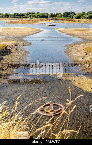 Vista su Lymington e le paludi Keyhaven Riserva Naturale durante molto tempo è asciutto nel luglio 2018, Lymington, Hampshire, Inghilterra, Regno Unito Foto Stock