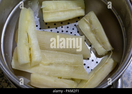 Manioca (Manihot esculenta) (spagnolo: "mandioca", Guarani: mandi'o), metà sezione cotti, bollite, prosciugato nel colapasta, Asunción, Paraguay Foto Stock