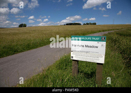 Cartello a bordo di Hannah prato della Riserva Naturale SSI Durham Wildlife Trust Country Durham Regno Unito Foto Stock