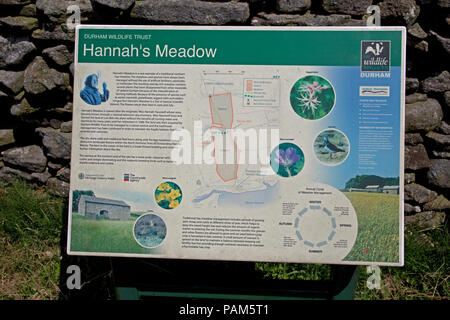 Informazioni cartello a bordo di Hannah prato della Riserva Naturale SSI Durham Wildlife Trust Country Durham Regno Unito Foto Stock