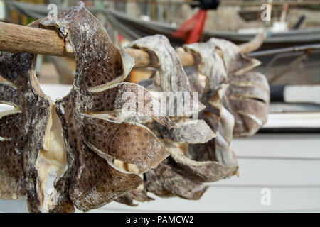 Pesce salato e messo ad asciugare al sole Foto Stock