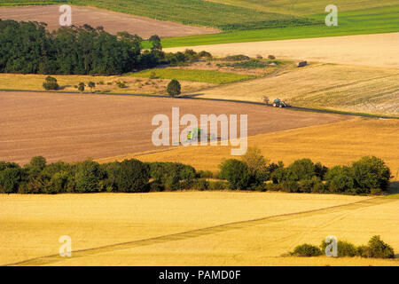 Moderno il tempo del raccolto, mietitrebbia lavora su campi colorati, linee belle, vista aerea. Foto Stock