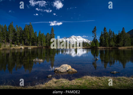 La riflessione di coperta di neve di Mammoth picco in primavera a fondere, vicino oriente ingresso parco sulla strada statale 120 - Parco Nazionale di Yosemite Foto Stock