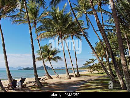 Classic Palm Cove Beach Palm tree grove scenario su un top inverno di mattina Foto Stock