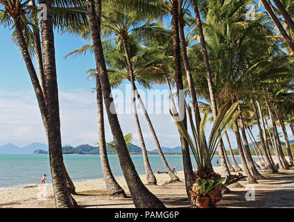 Sweet Palm Cove Beach cattura da nel palm tree grove su un inverno pieno di sole di mattina Foto Stock