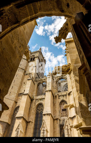 Chiostro di Saint-Just-et-Saint-Pasteur cattedrale in Narbonne, Aude, Occitanie, Francia, Europa Foto Stock