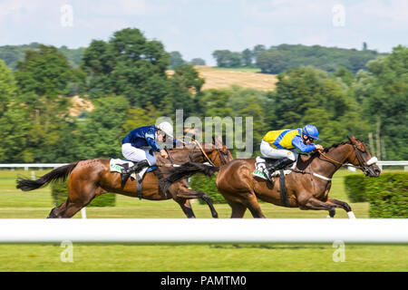 Ai cavalli da corsa di avvicinamento al traguardo, La Roche Posay ippodromo, Vienne, in Francia. Foto Stock