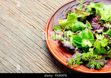 Mescolare le foglie fresche di insalata detox.insalata verde.Pulire mangiare Foto Stock