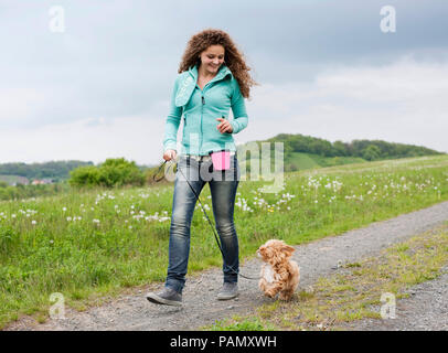 Havanese. Cucciolo di camminare al fianco di una donna, guardando verso l'alto. Germania Foto Stock