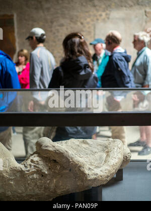 Un turista guarda impietrito corpi umani all'interno della Villa dei Misteri in Pompei in Italia. Foto Stock