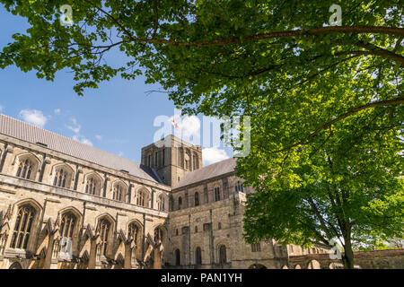 La Cattedrale di Winchester dal di dentro i giardini cercando attraverso un albero canopy presso il St Georges Cross bandiera di Inghilterra Foto Stock