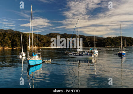 Sunrise, Anchorage Bay, il Parco Nazionale Abel Tasman, Nuova Zelanda Foto Stock