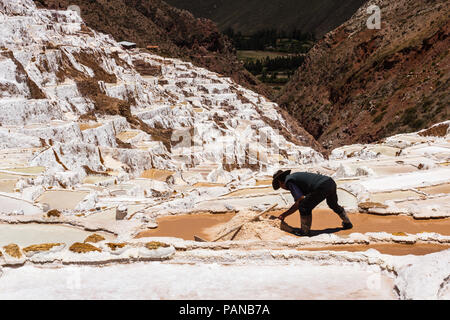 Lavoratore nel sale pong in maras, Perù Foto Stock