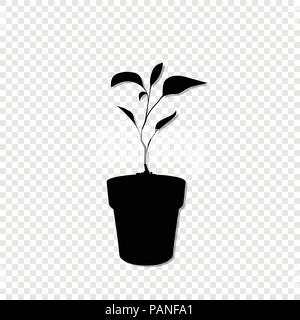 Silhouette nera della germogliazione piante in vaso isolato su sfondo trasparente . La semina illustrazione vettoriale, icona, segno, modello per il design. Illustrazione Vettoriale