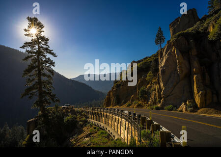 Sunstar effetto in un albero di pino lungo Sonora Pass - Autostrada 108, California Foto Stock