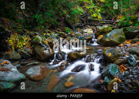 Lussureggiante Sanborn creek scorre su massi liscia come si fa strada un fresco, mossy canyon - Saratoga, California Foto Stock