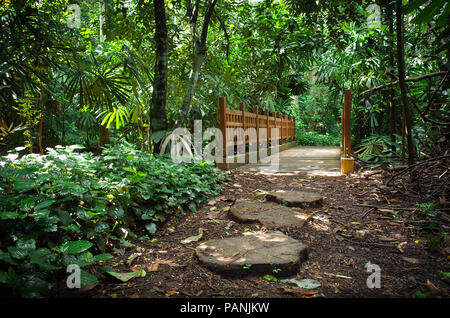 Pietre miliari e una giungla ponte sul sentiero in Bukit Timah, una riserva naturale in Singapore Foto Stock