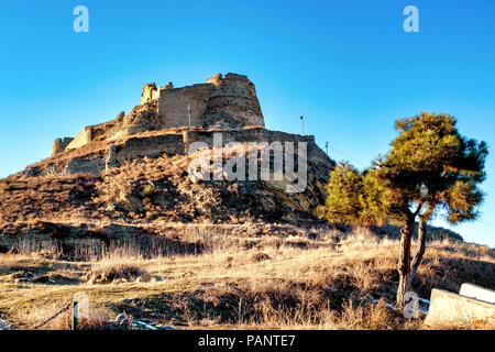 Gori fortezza, Gori, Georgia Foto Stock