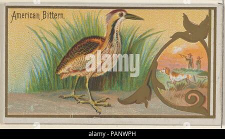 American tarabuso, dal gioco della serie di uccelli (N13) per Allen & Ginter marche di sigarette. Dimensioni: foglio: 1 1/2 x 2 3/4 in. (3,8 x 7 cm). Litografo: George S. Harris & Sons (American, Philadelphia). Editore: Rilasciato da Allen & Ginter (American, Richmond, Virginia). Data: 1889. Scambio di carte da 'Gioco Uccelli' serie (N13), rilasciato nel 1889 in un set di 50 schede per promuovere Allen & Ginter marca di sigarette. Museo: Metropolitan Museum of Art di New York, Stati Uniti d'America. Foto Stock