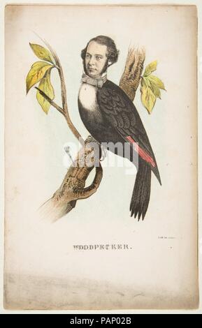 Picchio rosso maggiore (William B. Ghihon), dal fumetto Storia naturale della razza umana. Artista: Henry Louis Stephens (American, Philadelphia, Pennsylvania 1824-1882 Bayonne, New Jersey). Dimensioni: foglio: 11 3/16 x 7 3/16 in. (28,4 x 18,2 cm). Litografo: Rosenthal (Philadelphia, Pennsylvania). Editore: Samuel Robinson (Philadelphia, Pennsylvania). Data: 1851. Museo: Metropolitan Museum of Art di New York, Stati Uniti d'America. Foto Stock