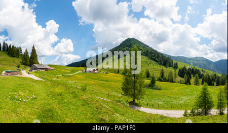 Salisburgo, Austria Membro, Tennengau, Sankt Koloman, vista di alp, Taugelboden e Regenspitz Foto Stock