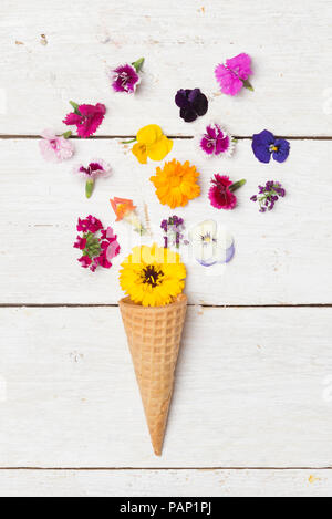 Cono gelato e fiori commestibili in legno bianco Foto Stock