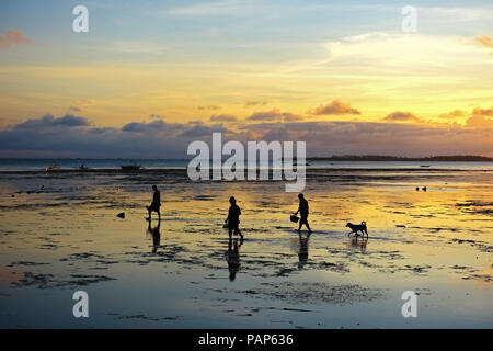 Famiglia locale Beachcombing con cane durante la bassa marea isola Sunrise in Bohol, Filippine Foto Stock