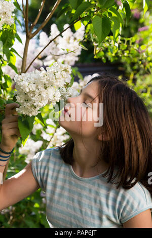 Ritratto di ragazza profumati fiori di lilla bianco Foto Stock