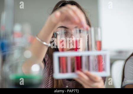 Studente nella classe di scienze sperimentando con tubi di prova Foto Stock