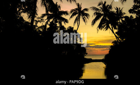 Arancione Tramonto Palm Tree Silhouettes lungo la litoranea tropicale Mare - Panay, Filippine Foto Stock