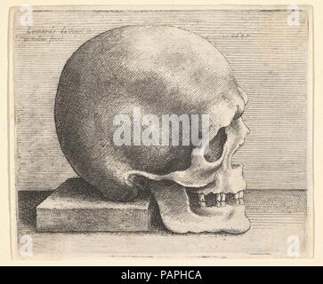 Cranio nel profilo a destra. Artista: Dopo Leonardo da Vinci (italiano, Vinci 1452-1519 Amboise). Dimensioni: Piastra: 3 1/16 x 3 5/8 in. (7,8 × 9,2 cm) con i margini ristretti tutti intorno a. Incisore: Wenceslaus Hollar (boemo, Praga 1607-1677 Londra). Data: 1645. Cranio di profilo a destra con cinque denti in ciascuna ganascia, la sua schiena appoggiata sul blocco quadrato, dopo Leonardo da Vinci. Museo: Metropolitan Museum of Art di New York, Stati Uniti d'America. Foto Stock