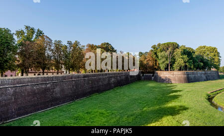 Bella vista panoramica delle antiche mura di Lucca, Toscana, Italia, nel tardo pomeriggio di luce Foto Stock